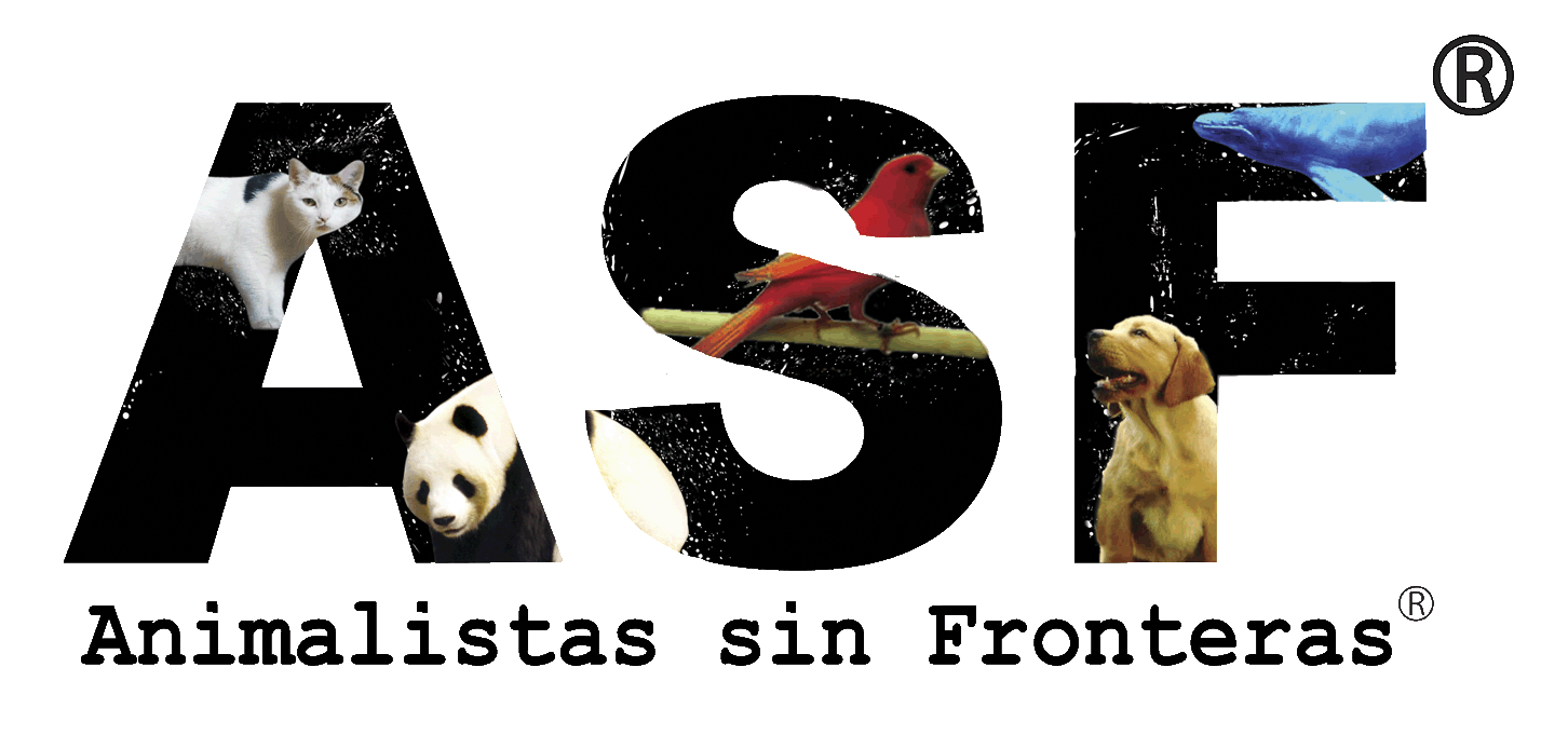 Animalistas sin Fronteras